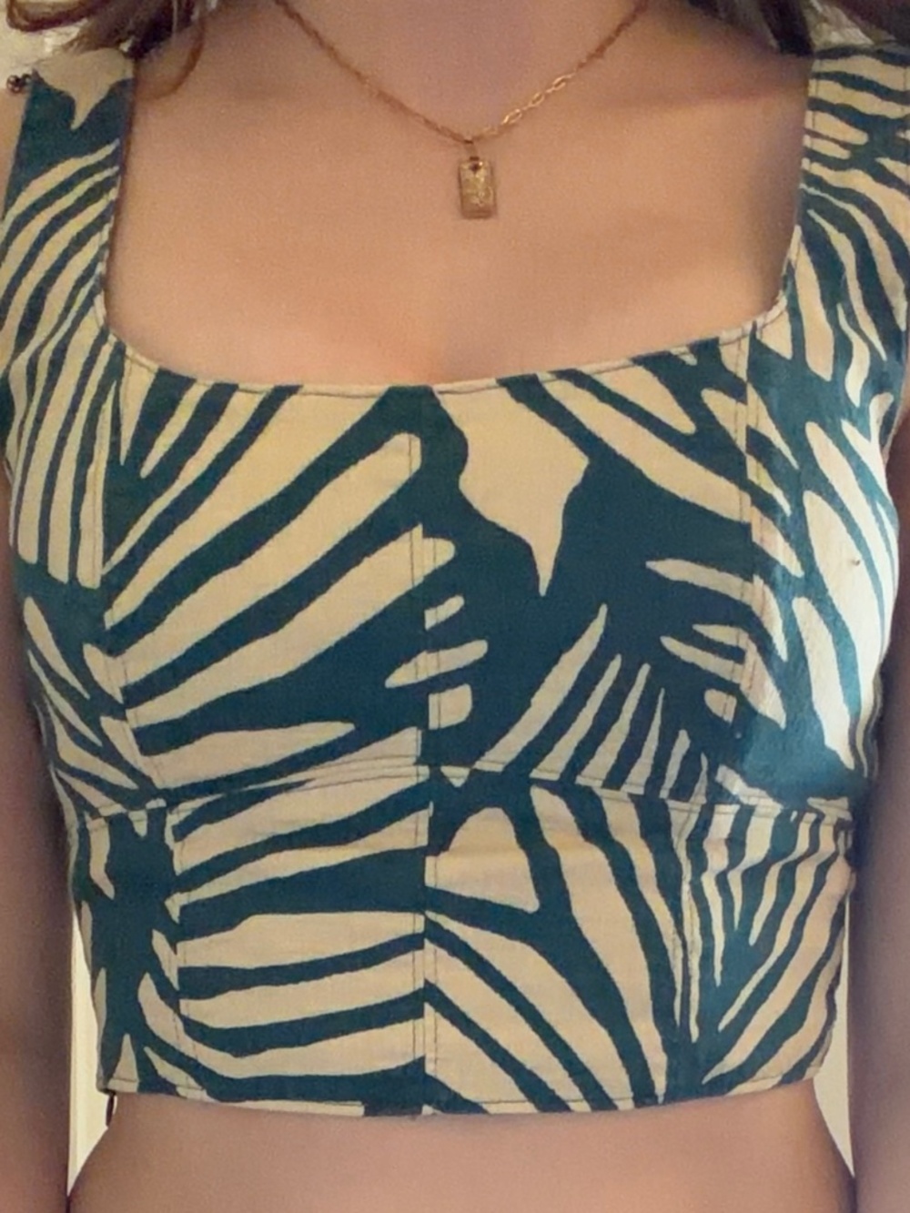 Banana Republic Zebra Crop Top